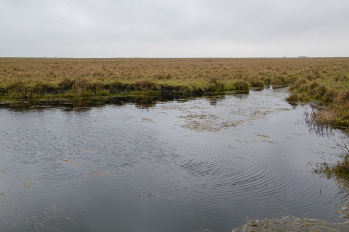 The salt marshes of St. Peter-Ording are a natural transition between land and sea. They are a strictly protected habitat for about 50 species of birds and almost 2000 species of insects and beetles.