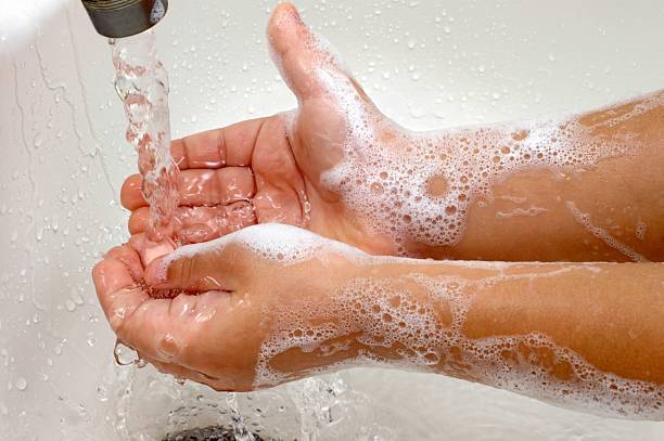 lavar as mãos - washing hands imagens e fotografias de stock