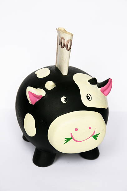 istock money in cow bank 146860331