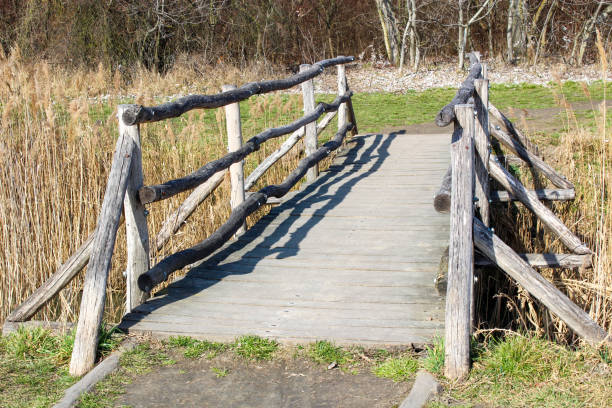 istock Old wooden bridge in the afternoon sun 1468604067