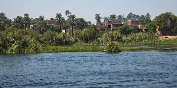 istock Architecture at Nile near Edfu, Egypt, Africa 1468608997