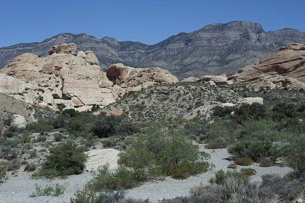 Red Rock Conservation Area stock photo