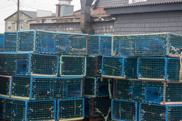 Lobster cages stock photo