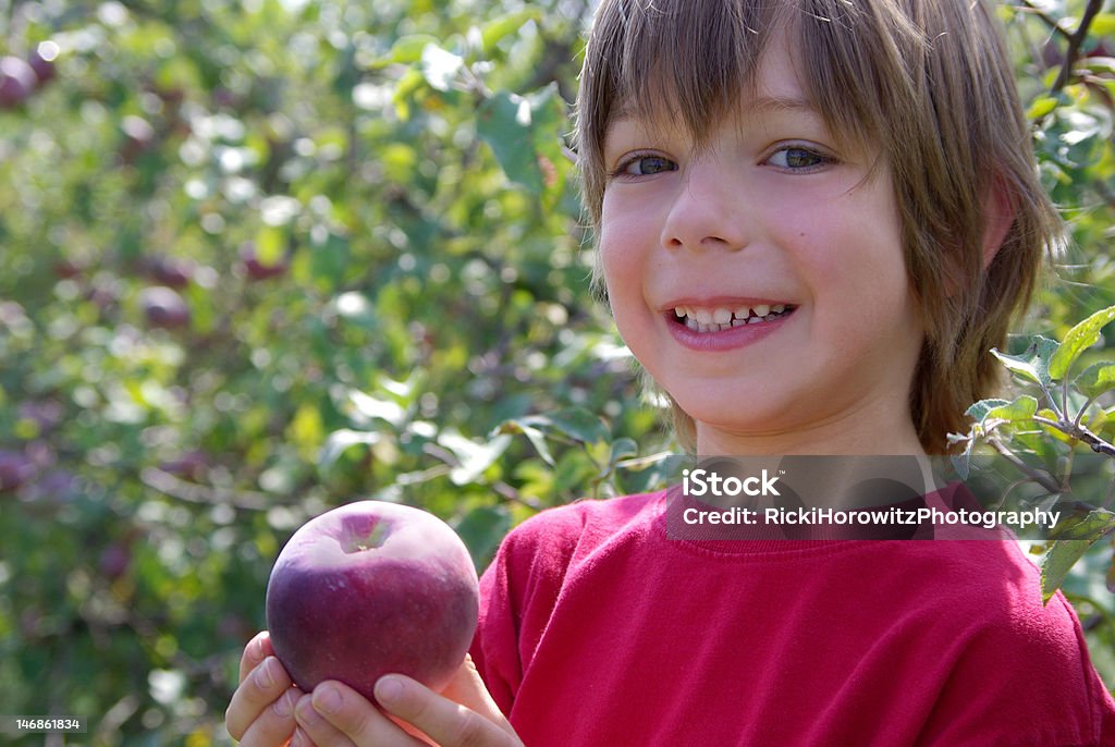 Junge präsentieren apple stehen in einem Obstanbaugebiet - Lizenzfrei 6-7 Jahre Stock-Foto