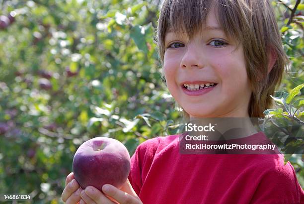 Junge Präsentieren Apple Stehen In Einem Obstanbaugebiet Stockfoto und mehr Bilder von 6-7 Jahre