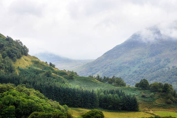Views of the Welsh mountains through the trees near Betws-y-Coed, Wales, UK