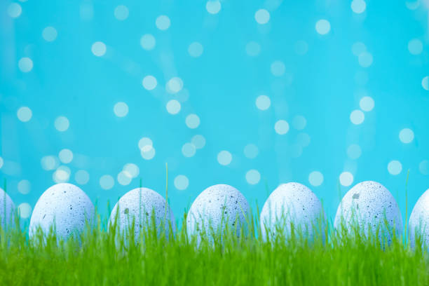 Decorated Easter lilac eggs in grass. Concept of Easter egg hunt. Background, web banner or flyer with copy space for text