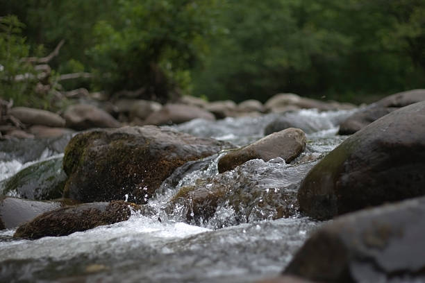 Mountain Stream stock photo