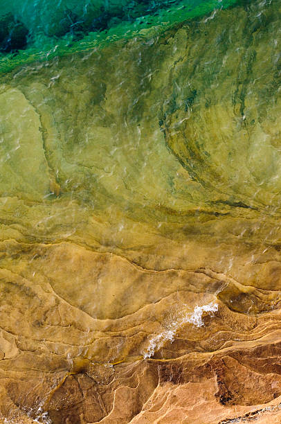 istock Green water an Sandstone 146861986