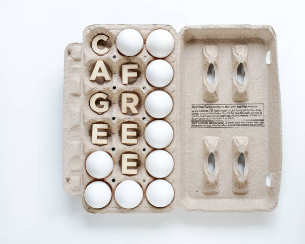istock Cage Free Egg Carton with Word and White Eggs 1468626359