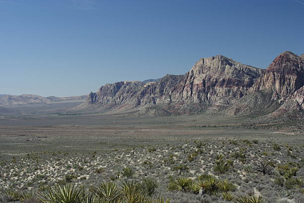 istock Calico Hills -- Red Rock Conservation Are 146862841