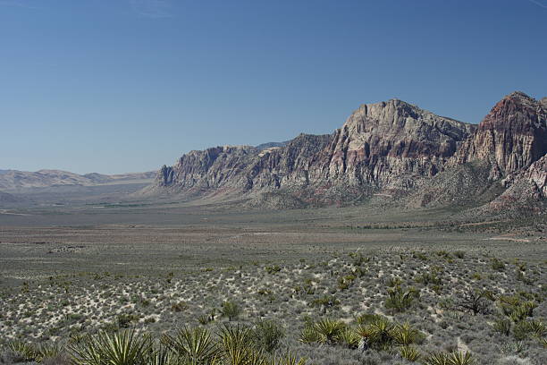 Calico Hills -- Red Rock Conservation Are stock photo