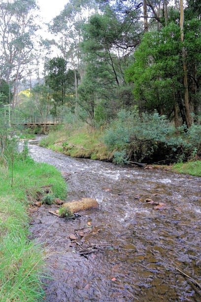 istock Bright,  Victoria,  Australia 1468632803