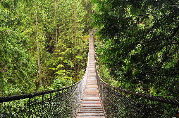 istock lynn valley suspension bridge 146863527