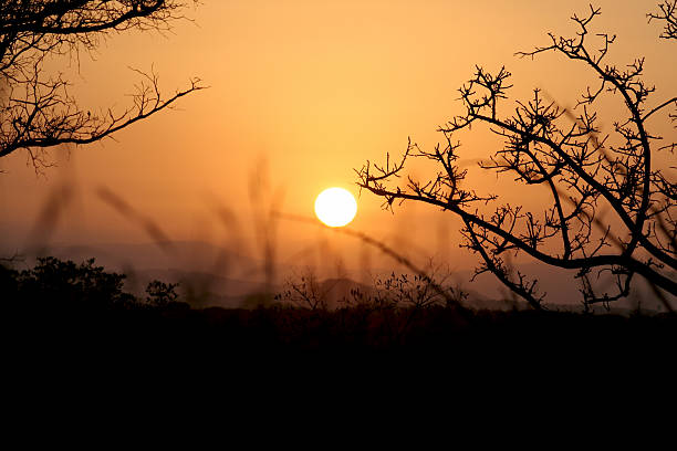 African Sunrise stock photo