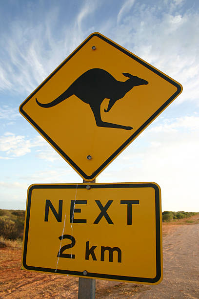 istock Kangaroos road sign 146863638