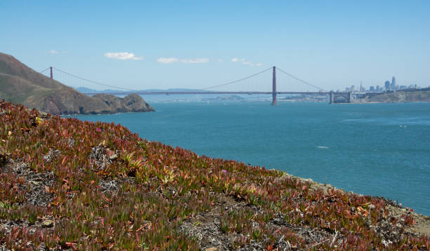 istock Golden Gate Bridge on a clear sunny day 1468639356