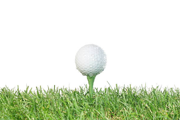 istock Golf ball on a tee in the wet. 146864063