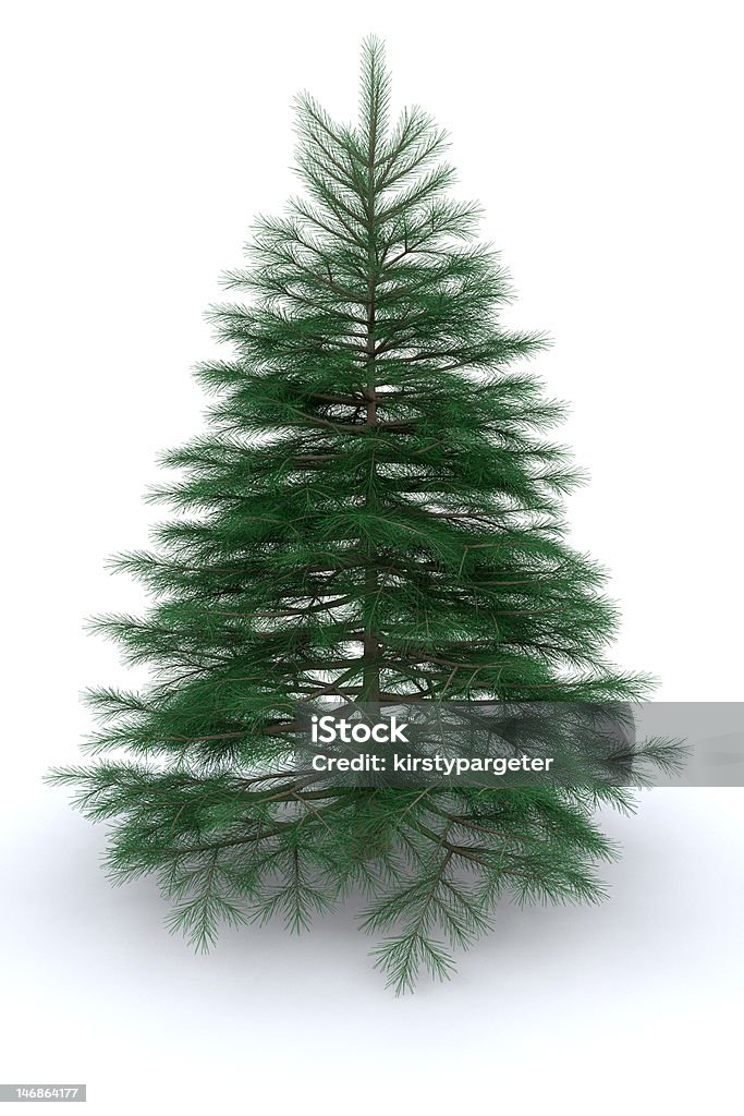 Árvore de Natal - Royalty-free Abeto Foto de stock