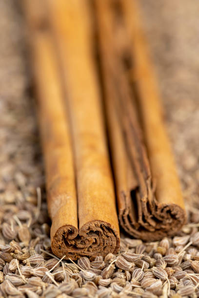 istock Ceylon real cinnamon with anise seeds 1468642137