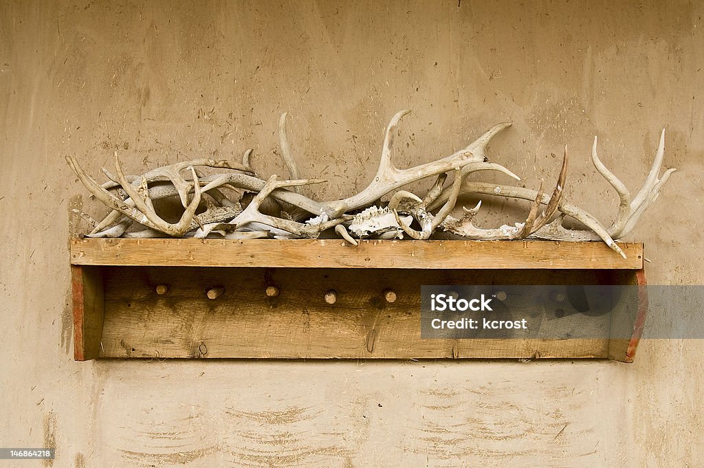 Antlers e osso - Foto de stock de Adobe royalty-free