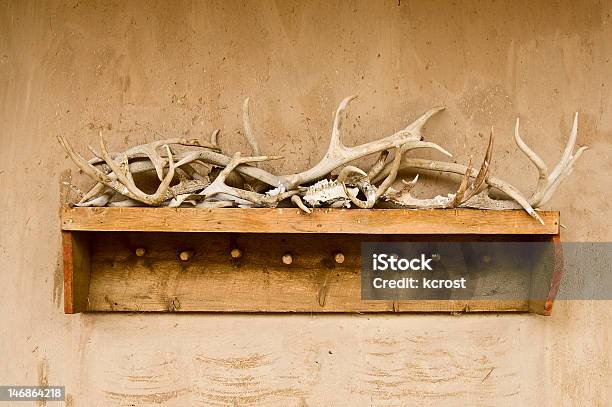 Foto de Antlers E Osso e mais fotos de stock de Adobe - Adobe, Antigo, Fotografia - Imagem