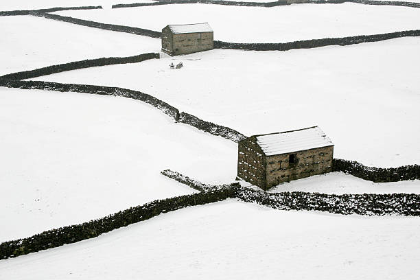 Snow covered  barns stone walls Yorkshire Dales England stock photo