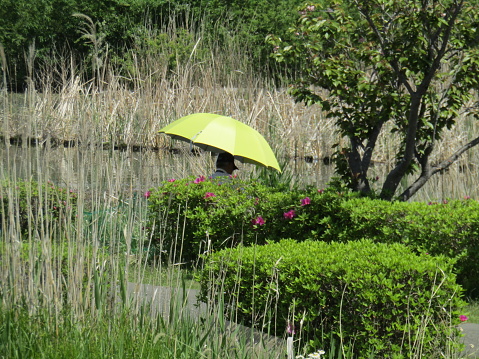 Under umbrella at the lake.