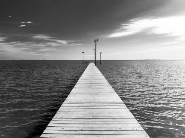 istock Long pier with street lights and benches monochrome 1468651088