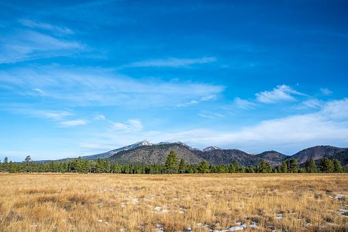 The San Francisco Peaks are the remnants of an ancient volcano that erupted millions of years ago, shattering a large mountain and leaving a large crater and surrounding peaks. The tallest of these are Humphreys at 12,637 feet and Agassiz at 12,356 feet.  This picture of the snow-capped peaks was taken from the Arizona Trail which runs through Buffalo Park in Flagstaff, Arizona, USA.