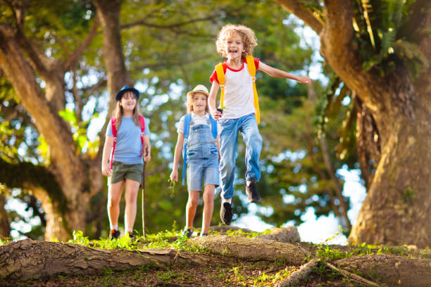 istock Kids explore nature. Children hike in sunny park. 1468652627