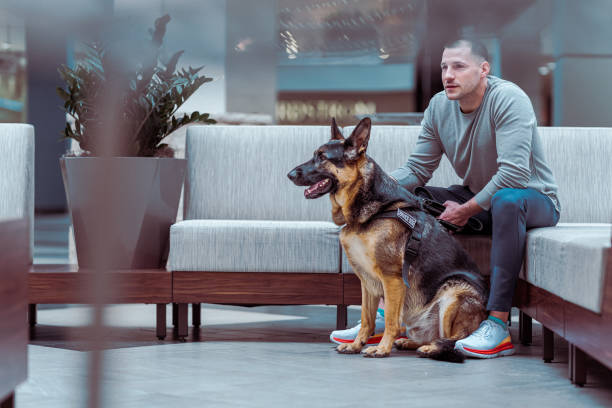 istock Man with German Shepard service dog waiting in modern lobby 1468654523