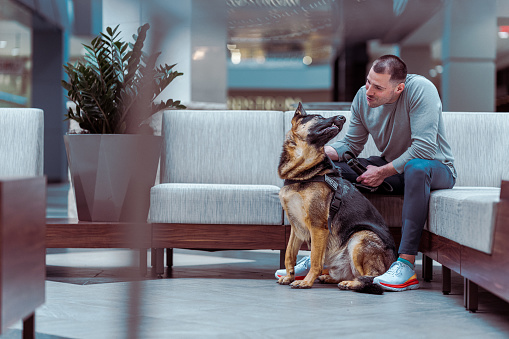 A man in casual clothing sits with his obedient German Shepard service dog in the lobby of a hospital or corporate business building.