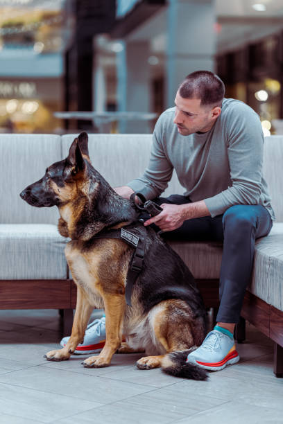 istock Man with service dog at the mall 1468654810