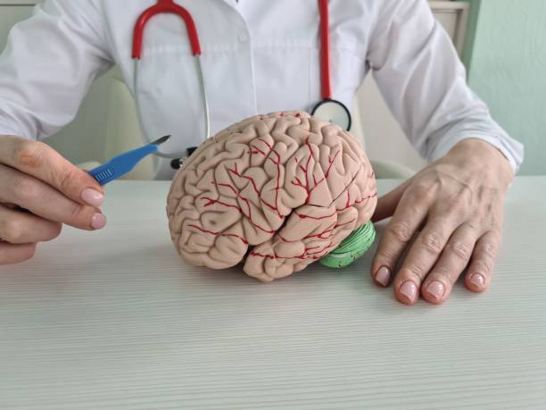 istock Surgeon is holding ascalpel of brain model 1468657129