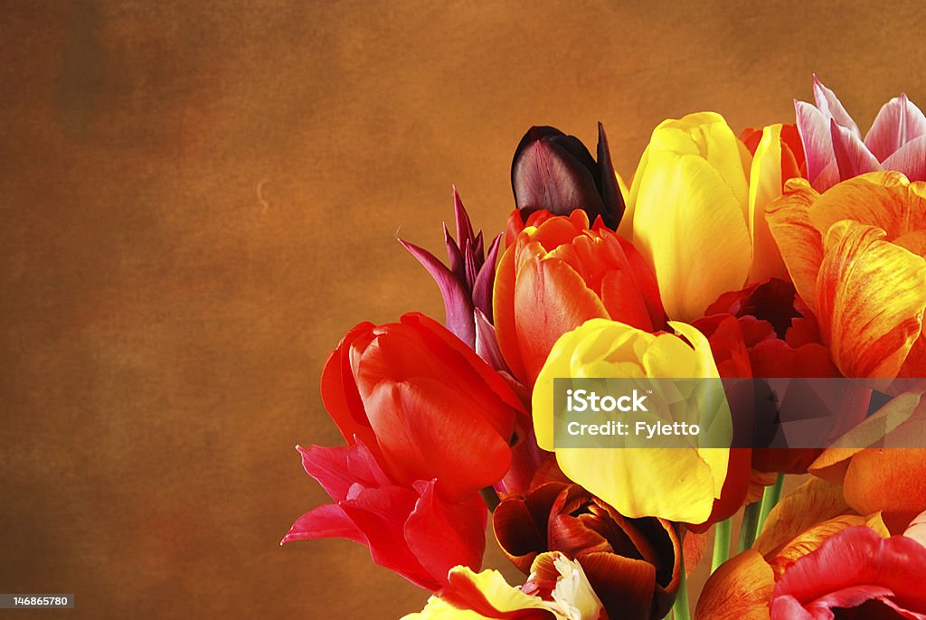 Tulips Bunch of beautiful spring flowers - colorful tulips  on a brown background Arrangement Stock Photo