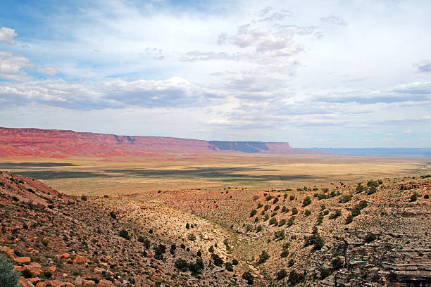 istock Vermillion Cliffs, Arizona, USA 146865918