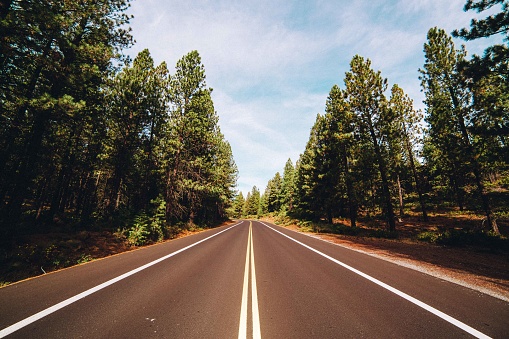 Wide angle view of an open road near Bend, Oregon with trees on either side.