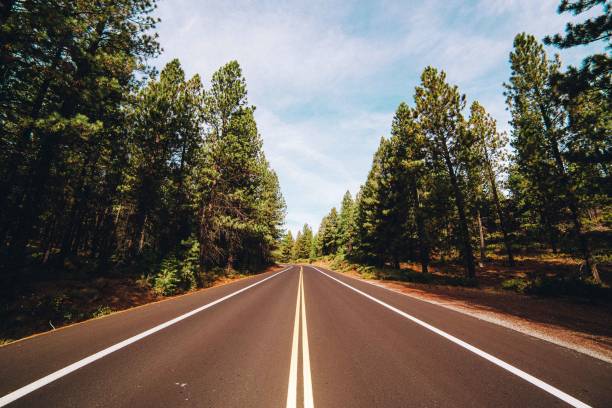 Open Road with Surrounding Forest Wide angle view of an open road near Bend, Oregon with trees on either side. empty road with trees stock pictures, royalty-free photos & images