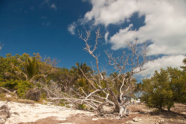 Scène de la plage dans les Keys de Floride - Photo