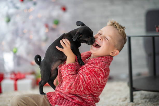 istock Christmas Puppy Kisses 1468662049
