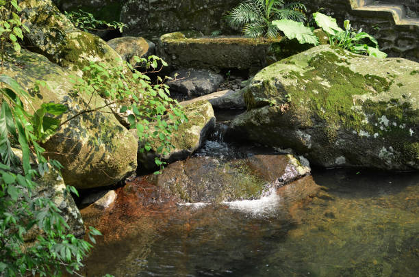 istock Close-up of clear water flowing through pebbles in stream 1468662588