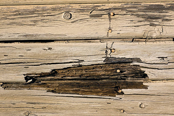 Barn door rotten wood stock photo