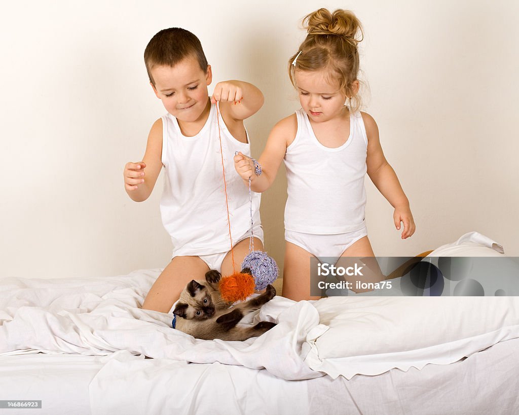 Kids playing with a ktten and yarn balls Kids playing on the bed with a kitten and yarn balls Affectionate Stock Photo