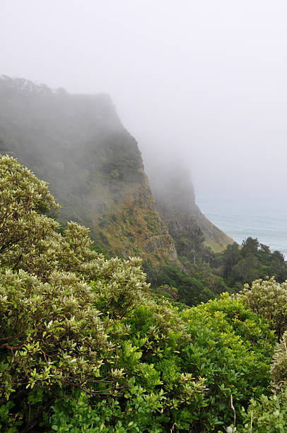 Misty gorge stock photo