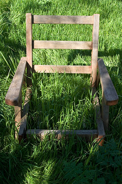 istock Wooden Chair in Tall Grass 146867507
