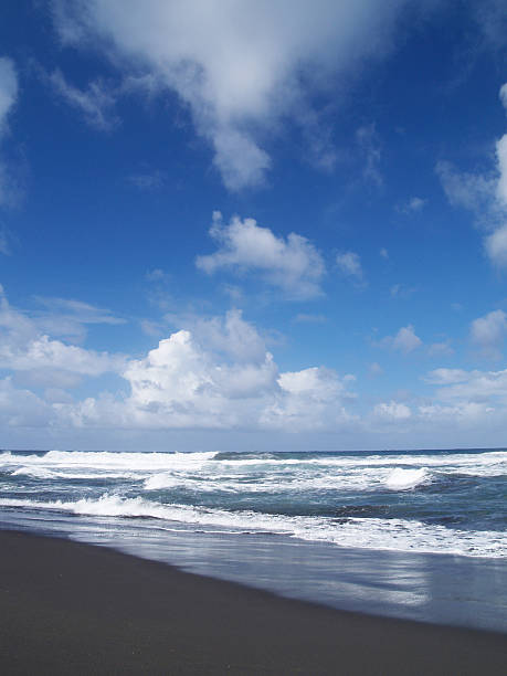 Pololu Beach, Hawaii Pololu Beach at Big island,Hawaii.The beautiful black sands beach.(OLYMPUS DIGITAL CAMERA E-300) pololu stock pictures, royalty-free photos & images