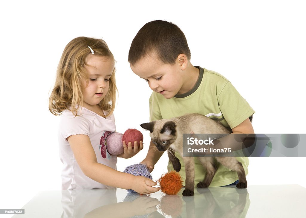 Niños jugando con su cat - Foto de stock de Alegre libre de derechos