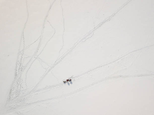 Canadian Rockies in Winter with Horse Sleigh/Sled