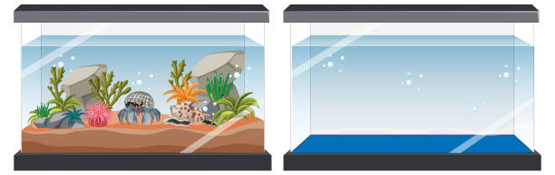 illustrations, cliparts, dessins animés et icônes de aquarium avec poissons et décorations - fish tank